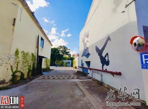 精進(jìn)業(yè)務(wù)基石 現(xiàn)代網(wǎng)站建設(shè)的關(guān)鍵要素與實(shí)施策略